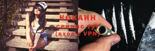 молекула духа Киреевск