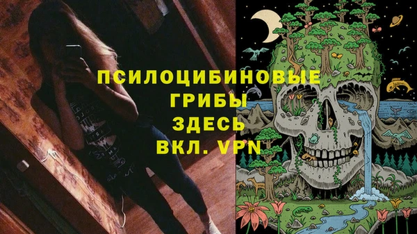 spice Сосновый Бор